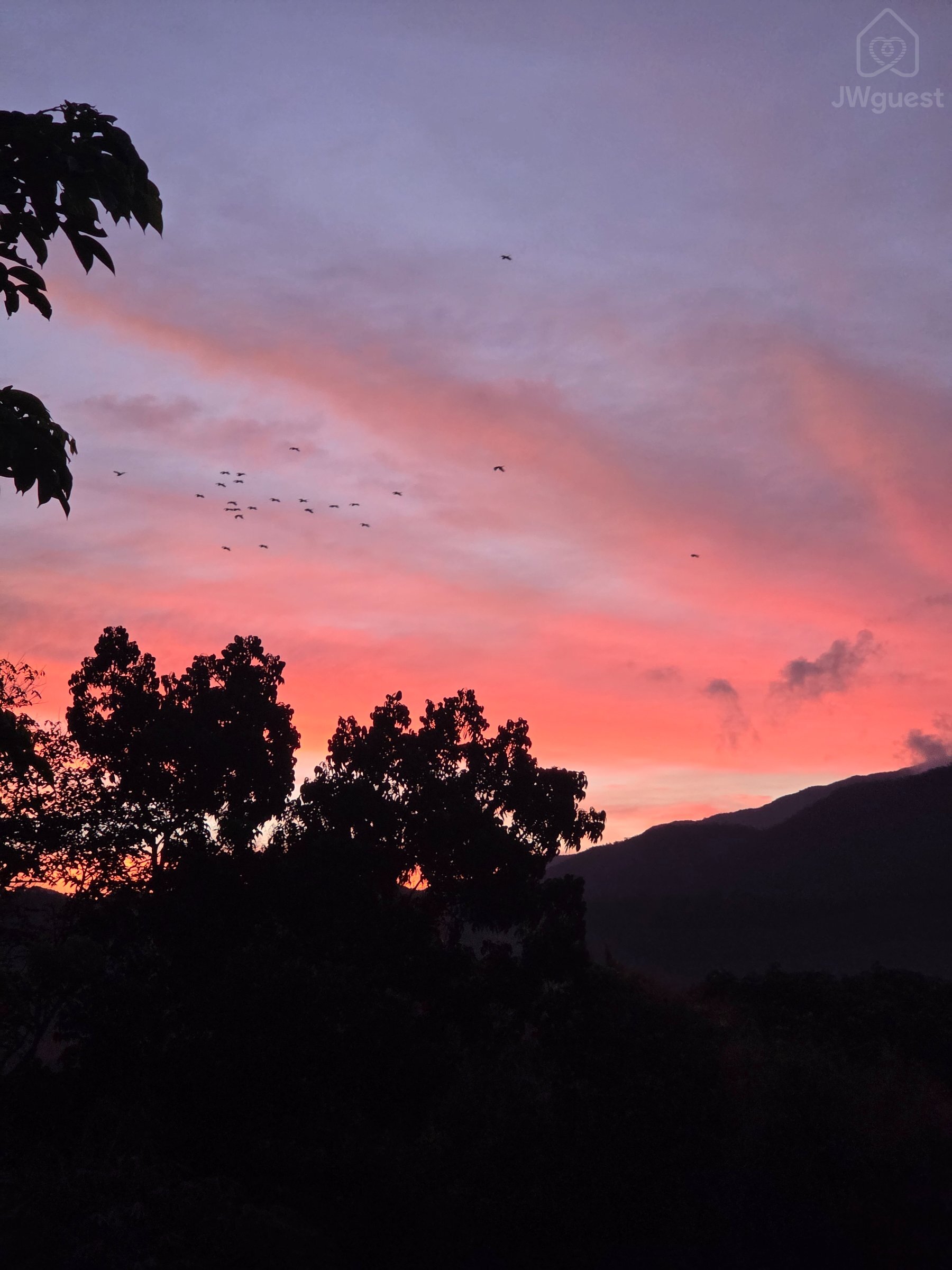 Studio - A touch of pink secret garden, Puerto Princesa City, Mimaropa — photo 7