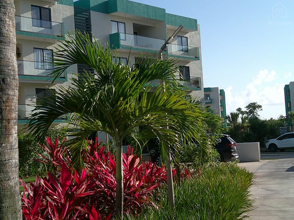 Beautiful tropical landscaping featuring lush palm trees and vibrant greenery. — Exclusive apartment ideal for short and long stay in Punta Cana, Punta Cana, La Altagracia