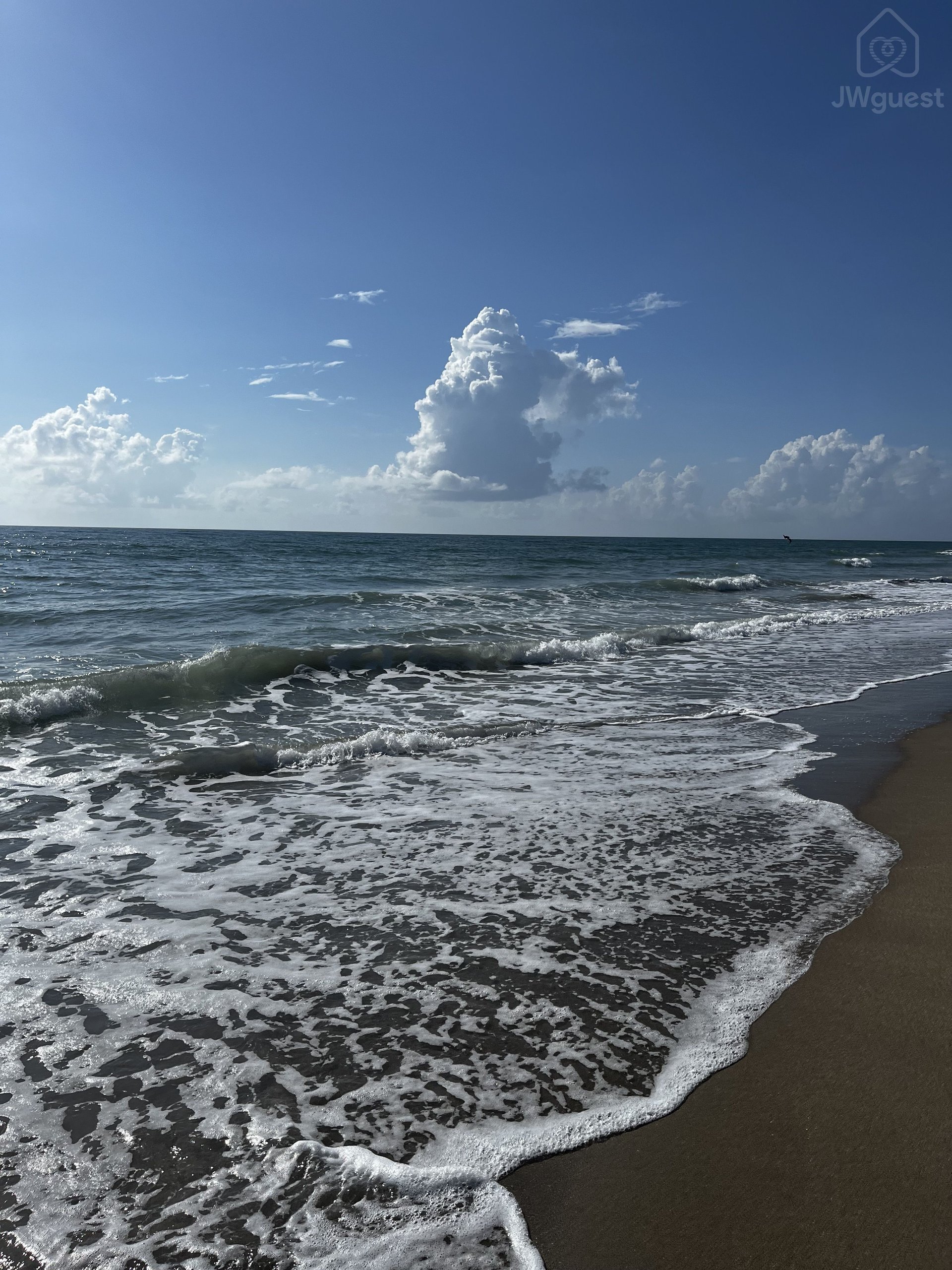Beach and Mets baseball - waterfront dining, Port St. Lucie, Florida — photo 19