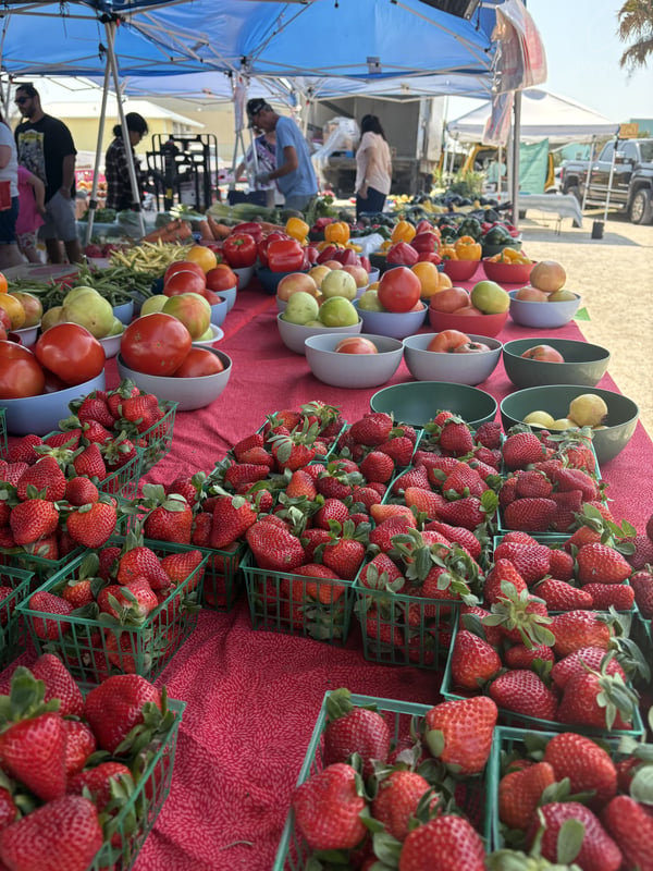 Flagler Beach farmers market — Private Coastal Guesthouse Retreat, Palm Coast, Florida