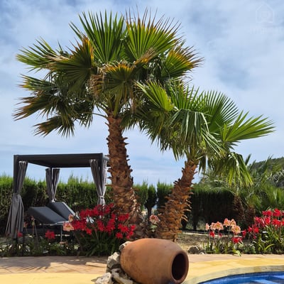 Planet Rural - Ruime Villa met zeezicht en privézwembad, Alicante, Comunidad Valenciana — photo 4