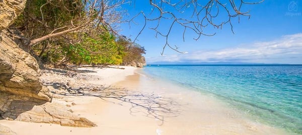 Curu Wildlife Reserve — Cozy Casita Nearby Beaches, Curu Reserve and Bus Stop, Paquera, Provincia de Puntarenas