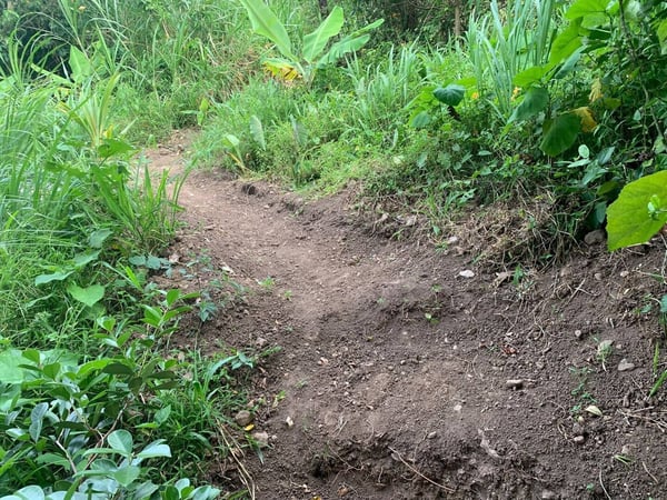 Path to the garden — Sunrising Breeze at Grand Bay Dominica, Saint Patrick Parish