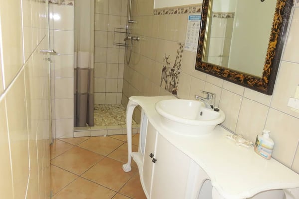 Bathroom with rain shower, toilet & vanity — Wonderful Studio Apartment between 2 Oceans #2, Cape Town, Western Cape