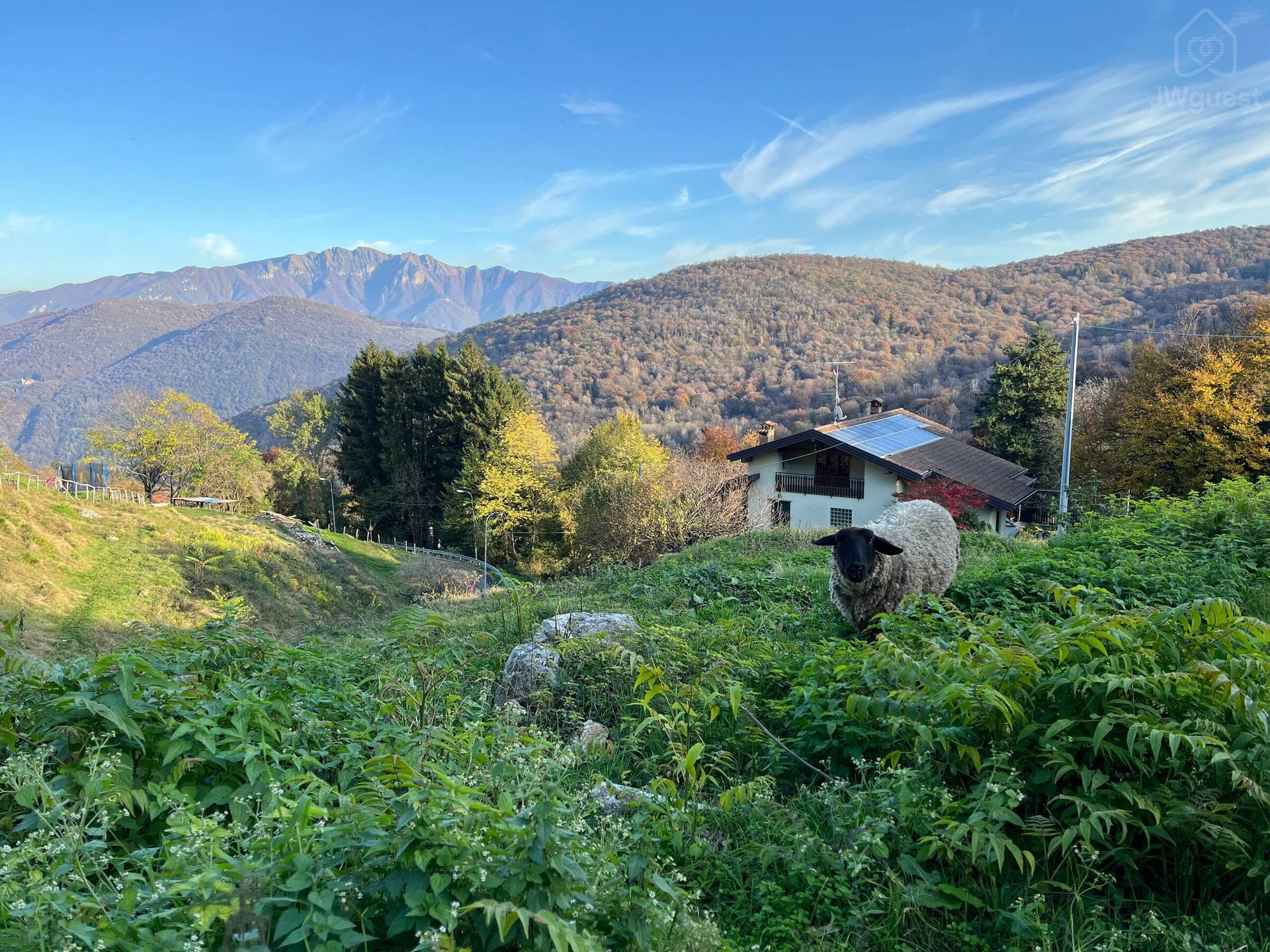 Casa immersa nel verde di un piccolo paesino di 300 abitanti, Marzio, Lombardia — photo 3