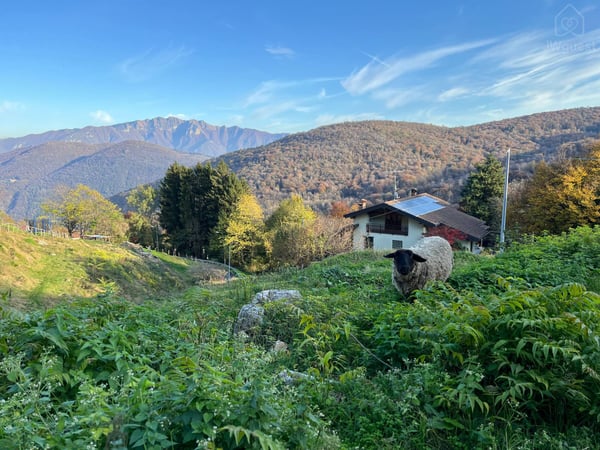 Casa immersa nel verde di un piccolo paesino di 300 abitanti, Marzio, Lombardia — photo 3