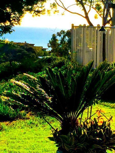 San Clemente Tropical Gateway, San Clemente, California — photo 23