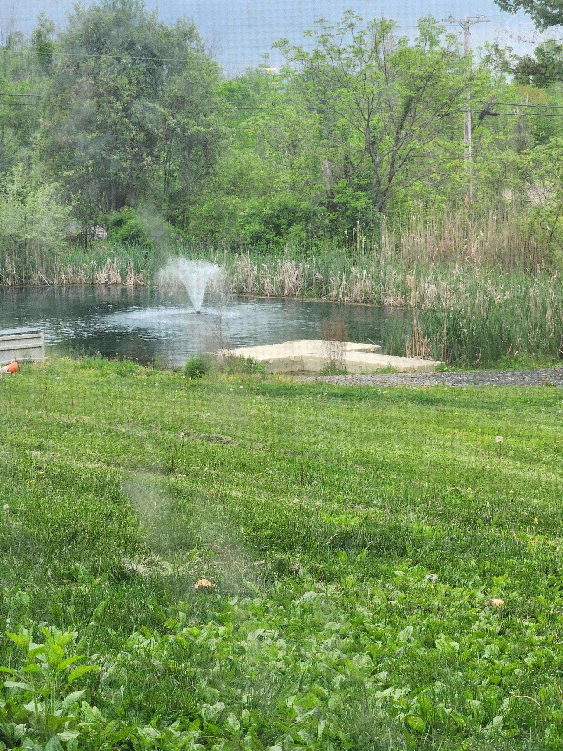 Volpi s bed and breakfast near Wallkill, Clintondale, New York — photo 29
