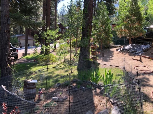Wooded Quiet Secluded South Lake Tahoe Chalet, South Lake Tahoe, California — photo 22