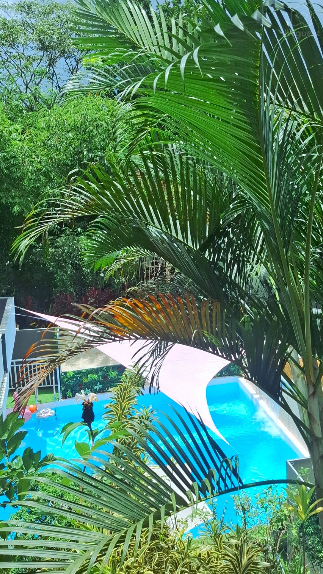 Studio - A touch of pink secret garden, Puerto Princesa City, Mimaropa — photo 8