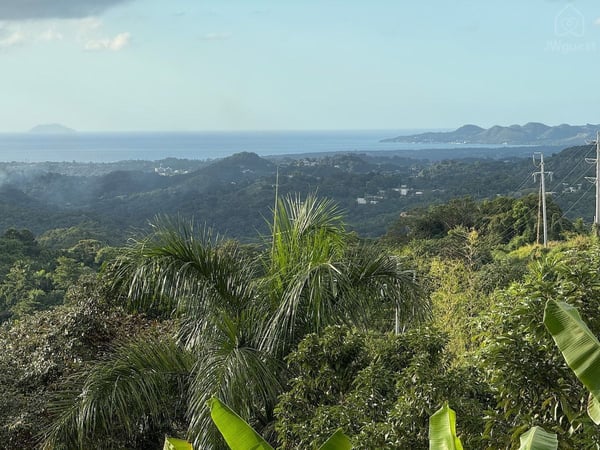 SunsetOasisPR is on the 2nd floor, Mayagüez, Mayagüez — photo 17