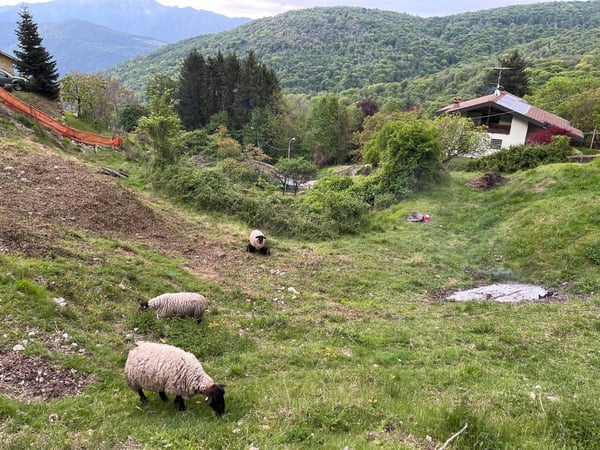 Casa immersa nel verde di un piccolo paesino di 300 abitanti, Marzio, Lombardia — photo 60