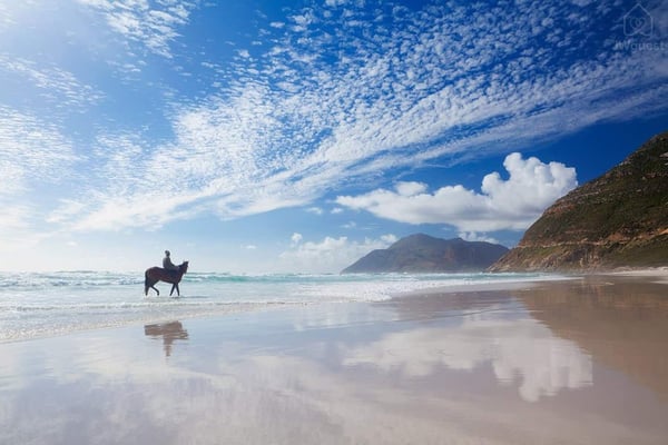 Horse Riding on Noordhoek Beach — Wonderful Studio Apartment between 2 Oceans #2, Cape Town, Western Cape