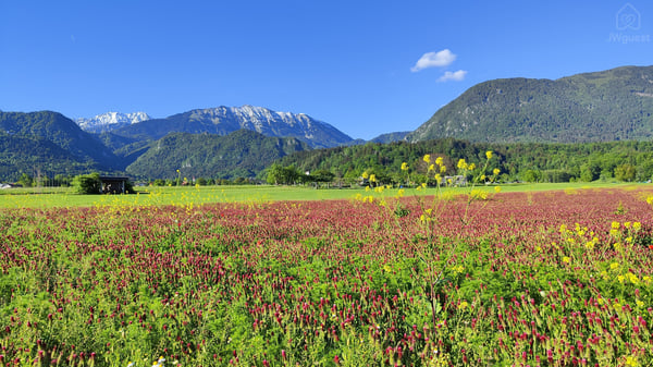 View — Nature Hiking Cycling - 2pax, Begunje na Gorenjskem, Radovljica
