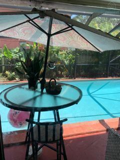 Summer Garden 3, Sunrise, Florida — photo 5