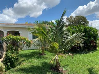 Summer Garden 3, Sunrise, Florida — photo 2