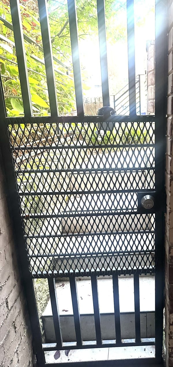 Security Gate — Casa Bloomingdale DC, Washington, District of Columbia