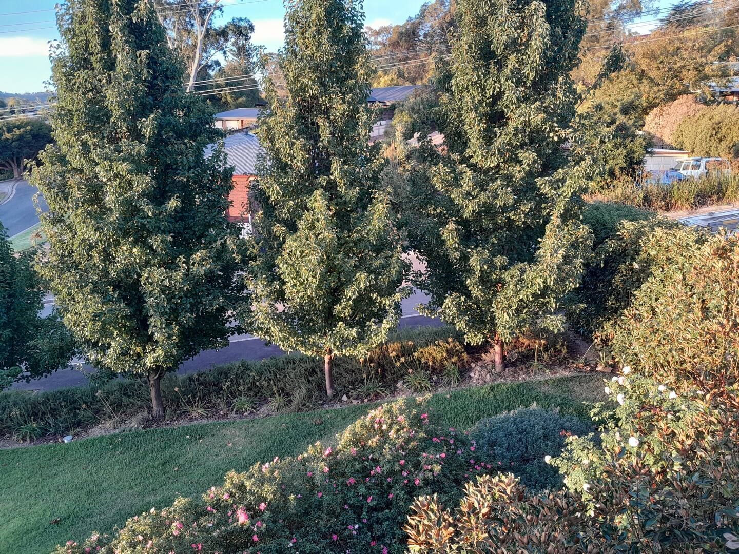 Pear House, Lobethal, South Australia — photo 29
