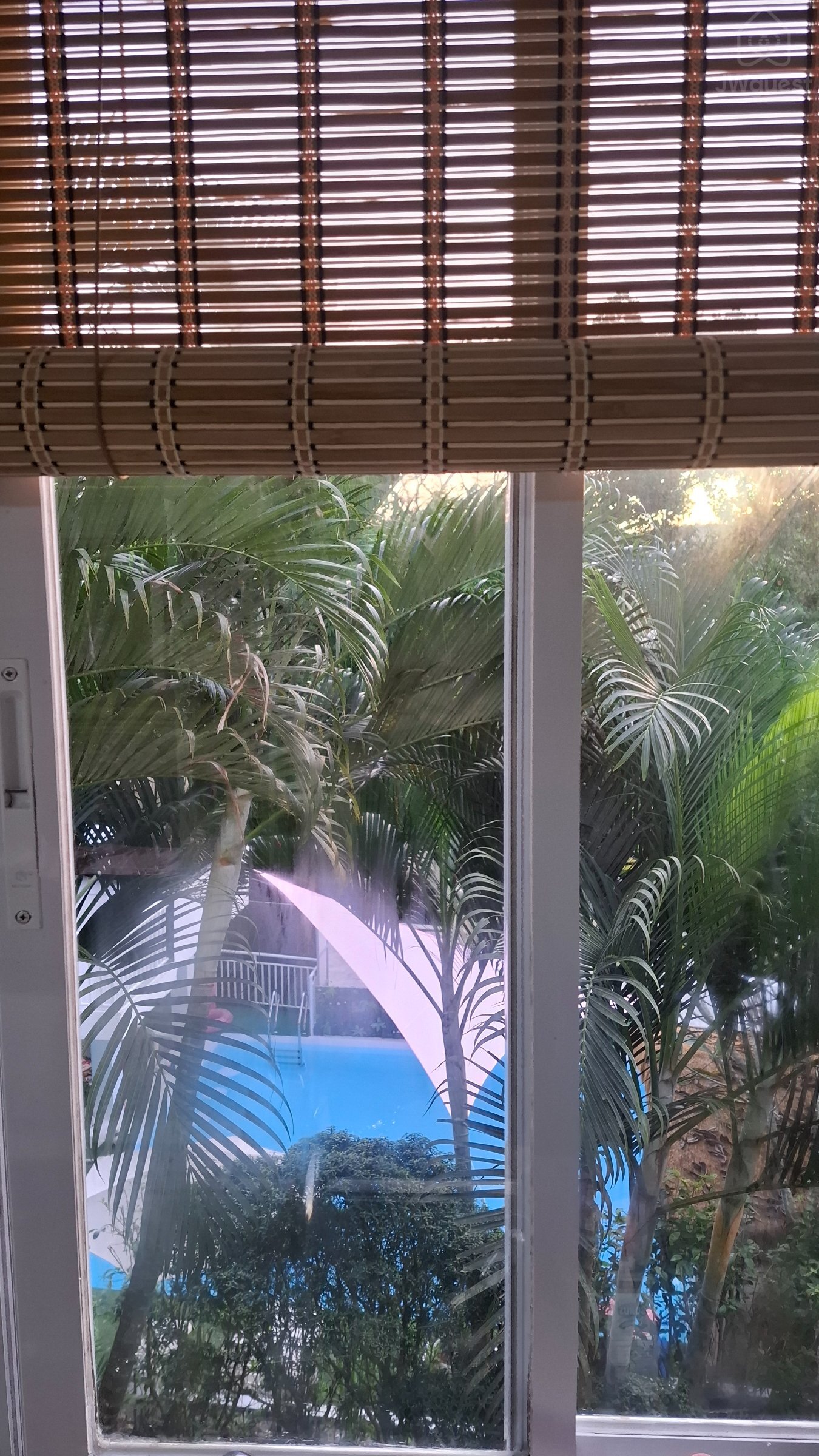 Studio - A touch of pink secret garden, Puerto Princesa City, Mimaropa — photo 4