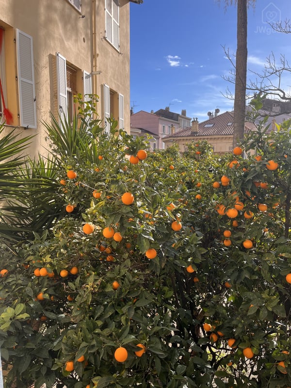 🌴 Appartement Croisette & Plages à Pied 🌴, Cannes, Provence-Alpes-Côte d'Azur — photo 8