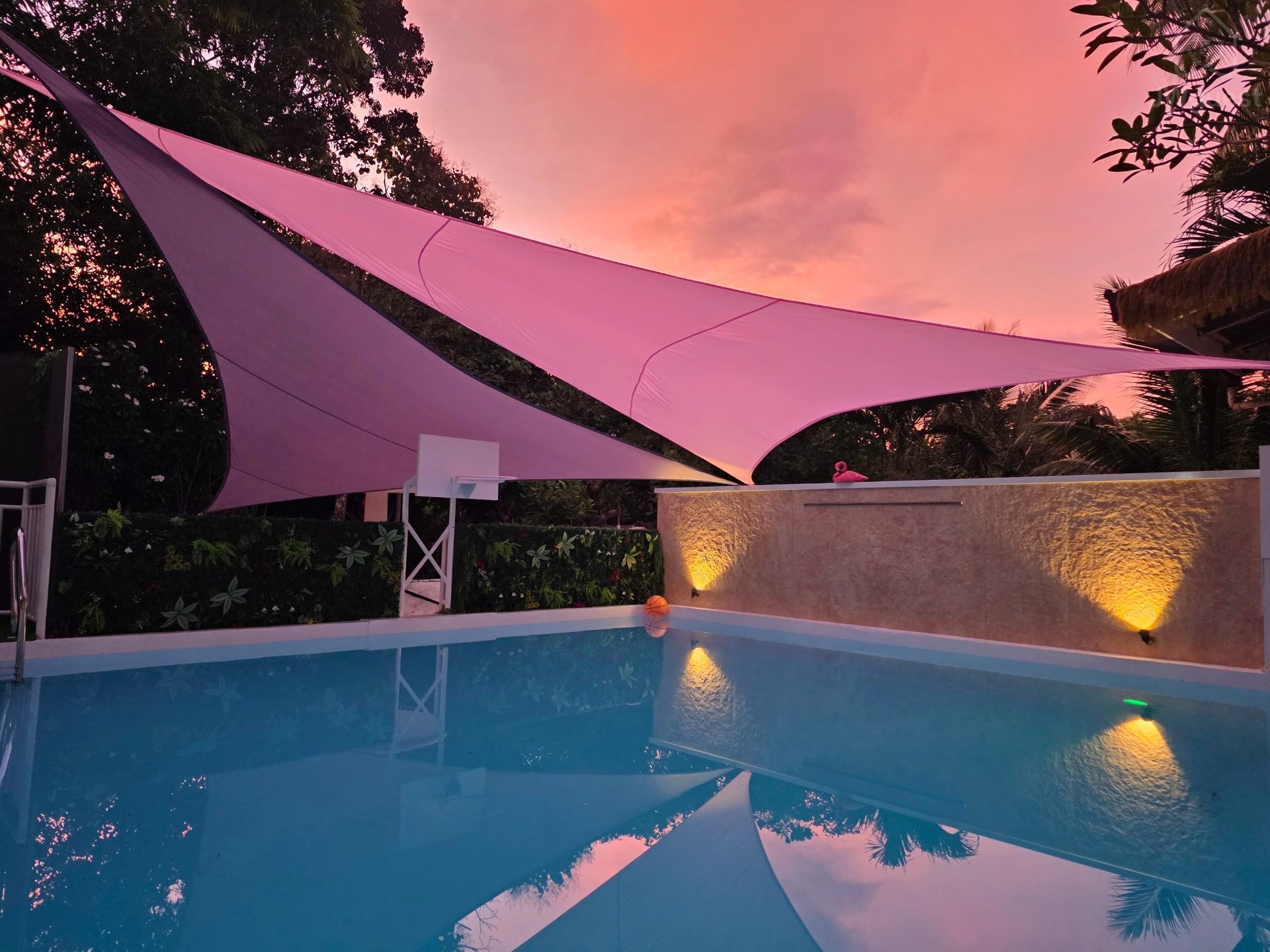 Studio - A touch of pink secret garden, Puerto Princesa City, Mimaropa — photo 3