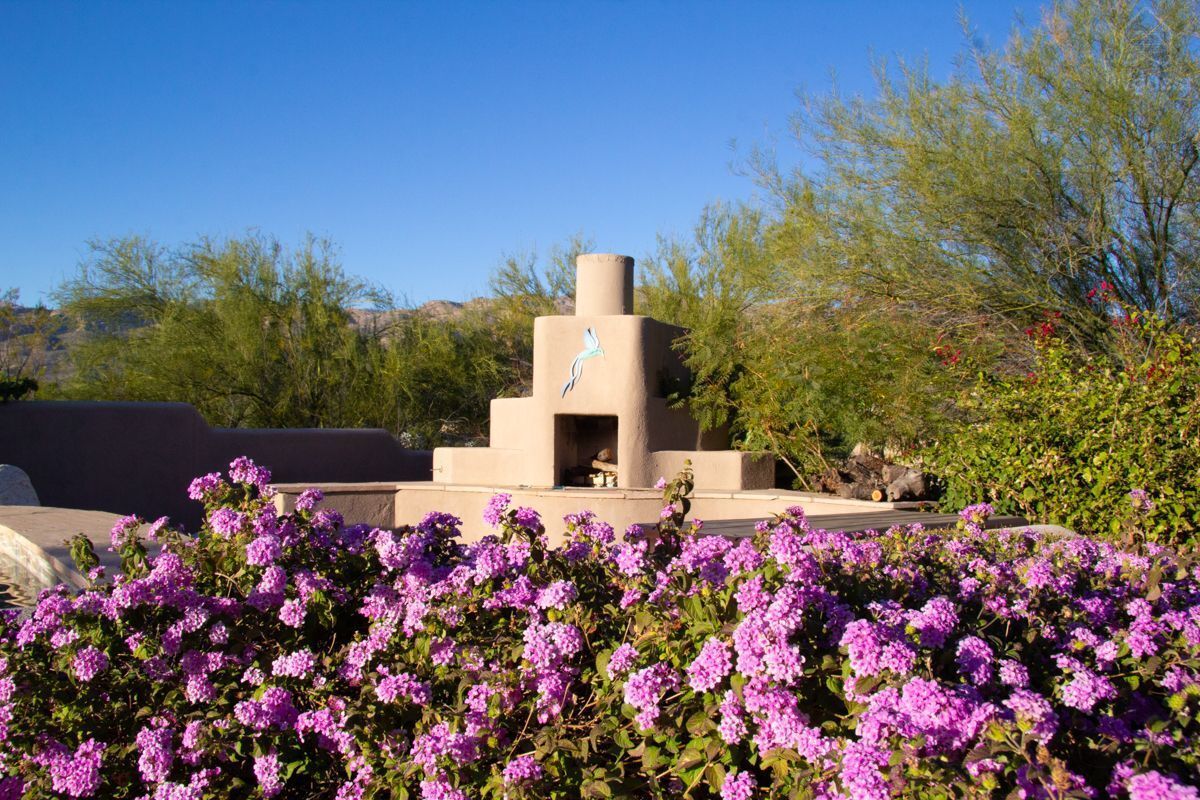 Desert Oasis Guest House, Tucson, Arizona — photo 8
