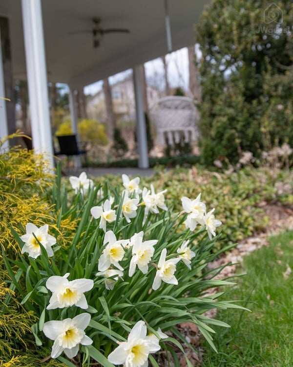 Modern Boho Retreat, Danbury, Connecticut — photo 40