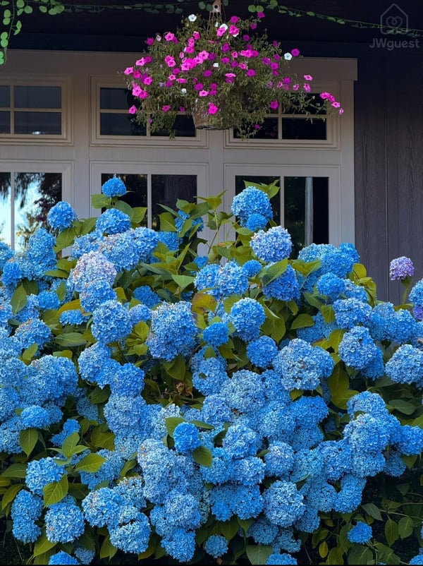 Cozy & Dainty 3-Bdr Farmhouse, Warren, Oregon — photo 91