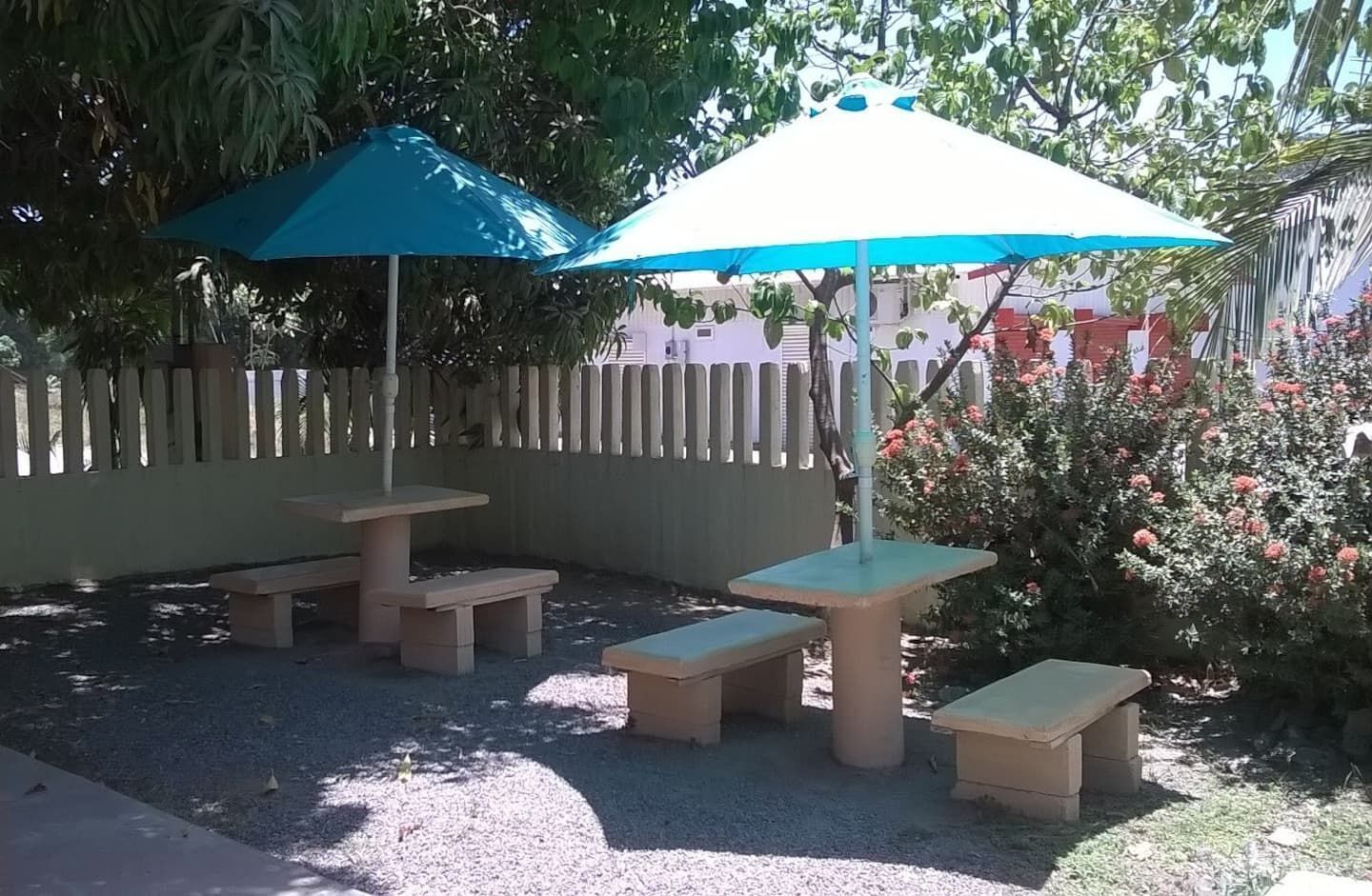 Our backyard — Cozy Casita Nearby Beaches, Curu Reserve and Bus Stop, Paquera, Provincia de Puntarenas