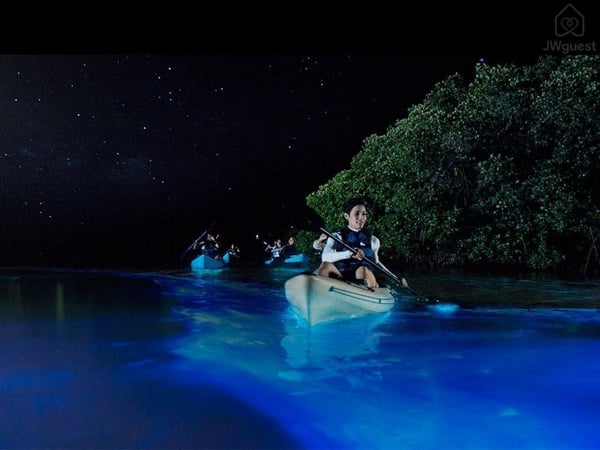 Bioluminescence experience in our beaches — Cozy Casita Nearby Beaches, Curu Reserve and Bus Stop, Paquera, Provincia de Puntarenas