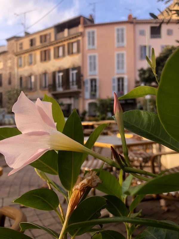 🌴 Appartement Croisette & Plages à Pied 🌴, Cannes, Provence-Alpes-Côte d'Azur — photo 3