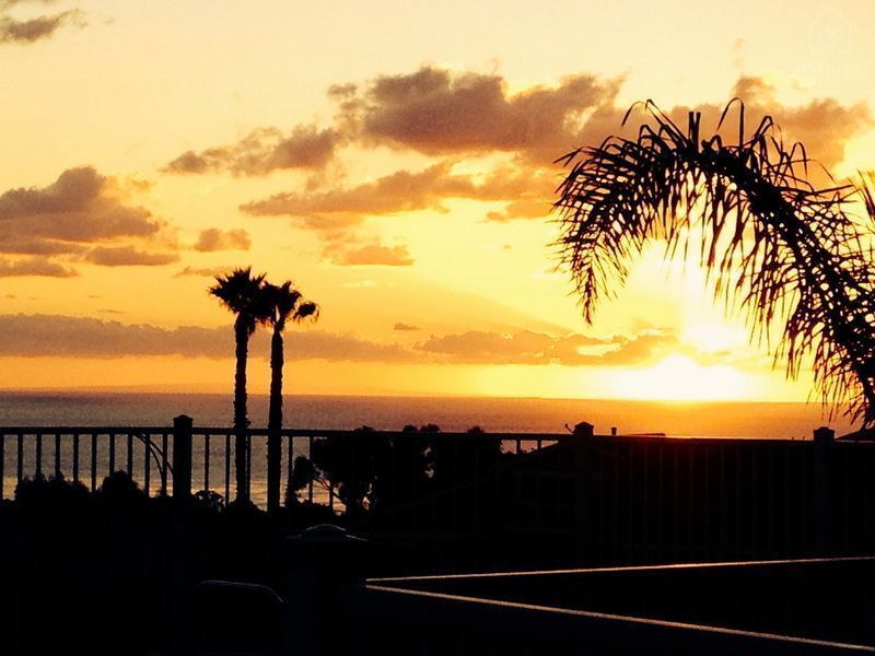 San Clemente Tropical Gateway, San Clemente, California — photo 25